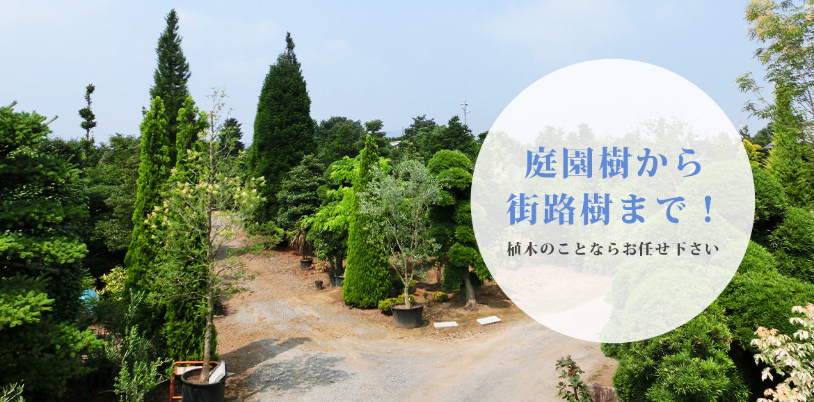 庭園樹から街路樹まで！植木のことならお任せ下さい