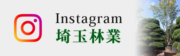 Instagram　植木について